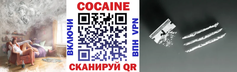 Cocaine Fish Scale Купить закладки Камышин