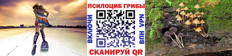 Купить  Камышин  Галлюциногенные грибы MAGIC MUSHROOMS 